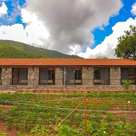 فندق Dedehan Retreat Cedit