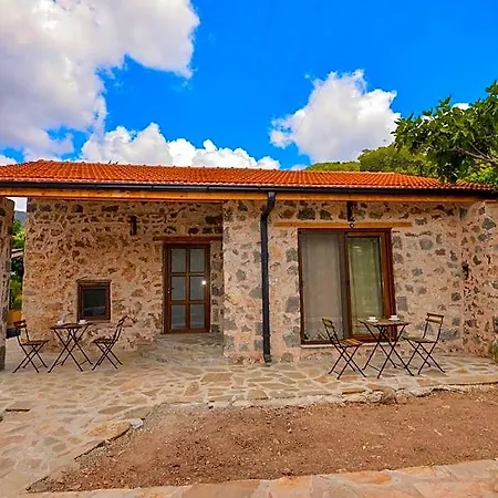 Dedehan Retreat فندق