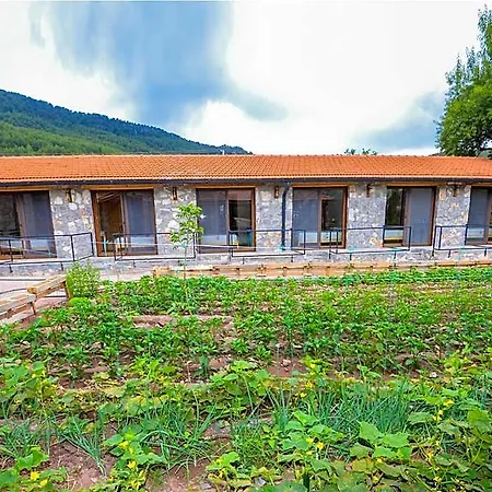 Hotel Dedehan Retreat